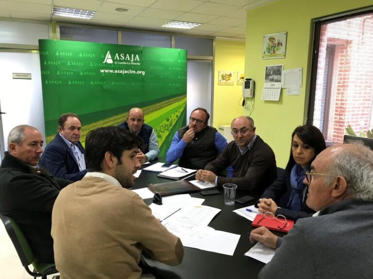 La estabilidad del mercado de aceite de oliva requiere la puesta en marcha de múltiples medidas simultáneas