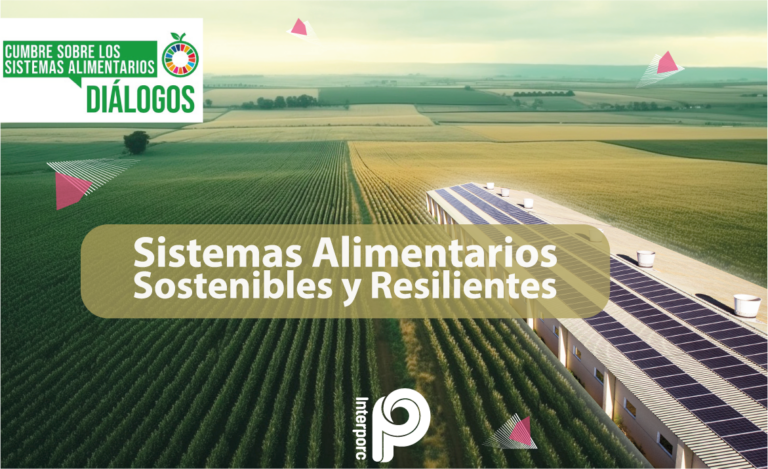 El sector porcino es un agente clave en la aportación de nutrientes a una dieta equilibrada y en la lucha contra la desnutrición