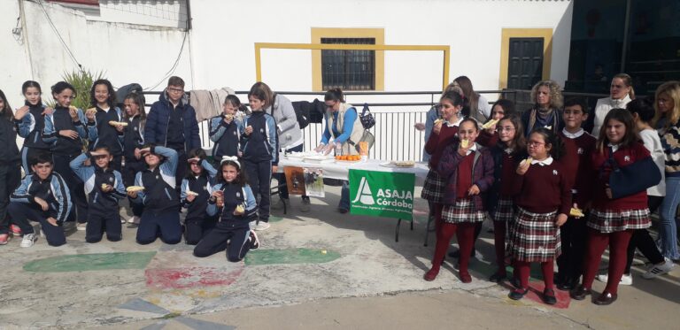 Asaja promociona el consumo de aceite de oliva en los colegios por el Día de Andalucía