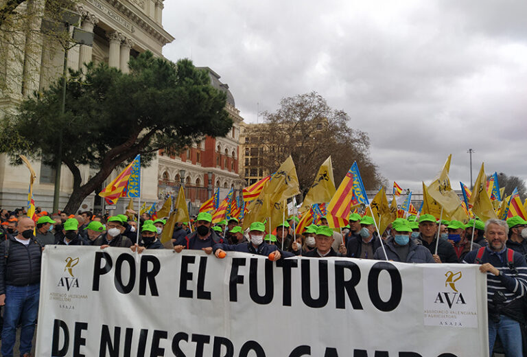 Agricultores valencianos de AVA-ASAJA acudirán el lunes a la manifestación unitaria de Madrid