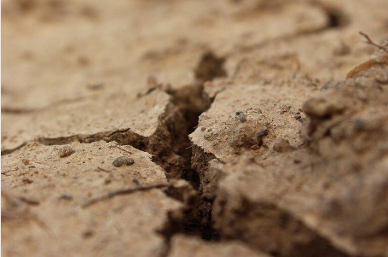 El Gobierno aprueba la Estrategia Nacional de Lucha contra la Desertificación