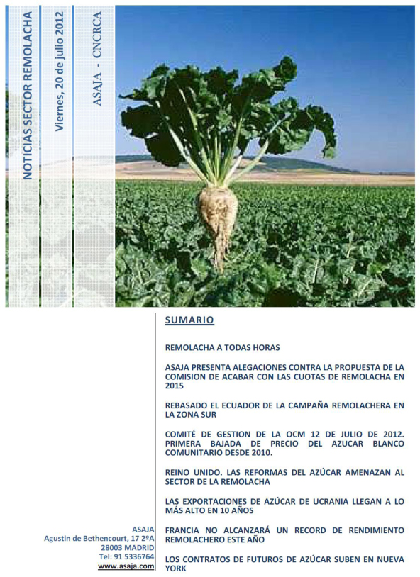 Noticias Sector Remolacha (Viernes, 20 de julio de 2012)