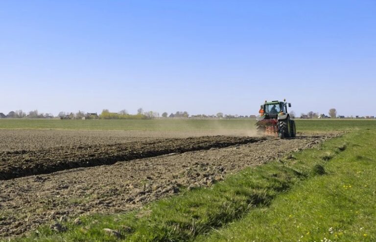 Granada pierde 100 millones de euros de fondos agrícolas de la UE