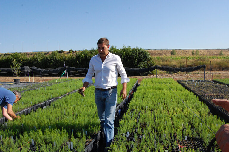 Un socio de APAG consigue el Certificado de Ecológico para la planta del espárrago