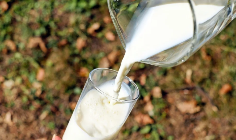 ASAJA, COAG y UPA denuncian la compra de leche por la industria por debajo de los costes de producción