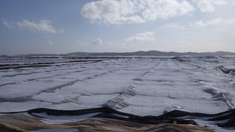 Asaja recuerda a los agricultores que es imprescindible realizar la valoración de daños