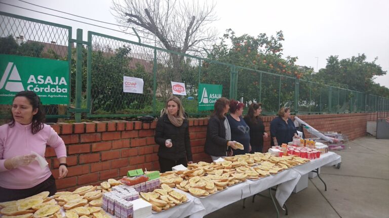 Asaja Córdoba promociona el consumo de aceite de oliva en los colegios y la universidad por el Día de Andalucía