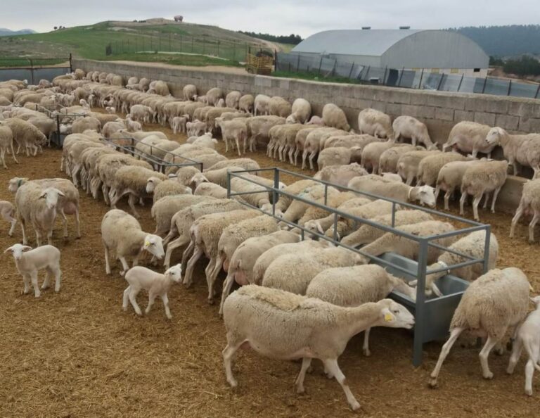 Asaja Almería advierte de grandes pérdidas para algunos sectores ganaderos por la paralización del consumo a causa del cierre de la hostelería