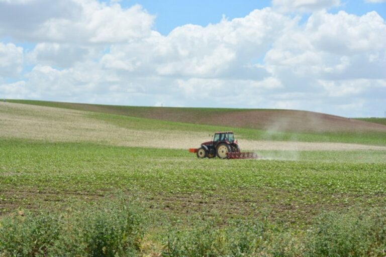 Asaja Andalucía  espera que el parlamento pula aquellos matices de la ley que puedan restar impulso a la competitividad agraria