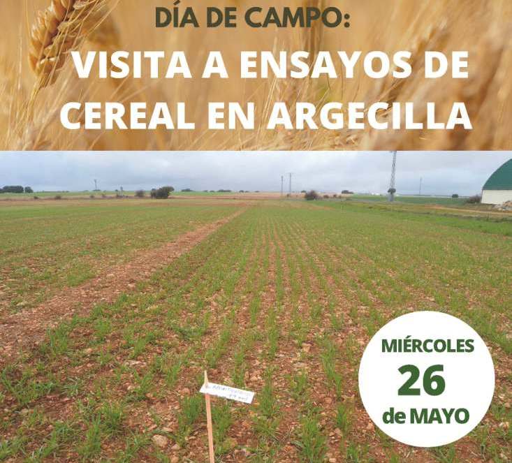 APAG Guadalajara y Cooperativas agroalimentarias  invitan a los agricultores a  una jornada técnica en campos de ensayo en Argecilla