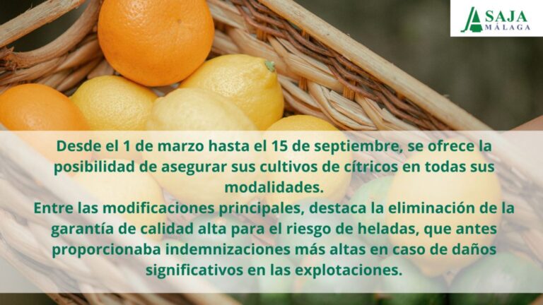 Seguro de cítricos. Novedades.