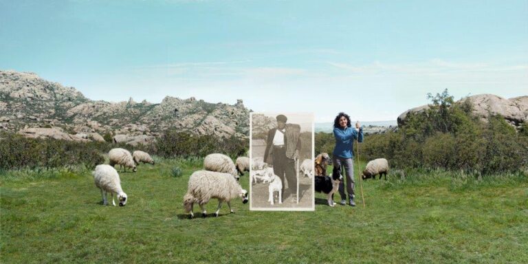 Evento virtual coincidiendo con el Día del Cordero INTEROVIC presenta el Programa Europeo que ayudará a posicionar la sostenibilidad del ovino y el caprino ante toda la sociedad