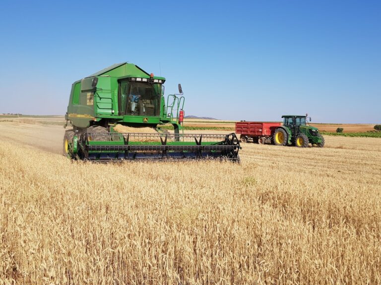 Asaja exige que Castilla y León se beneficie de  la tendencia alcista del precio del cereal
