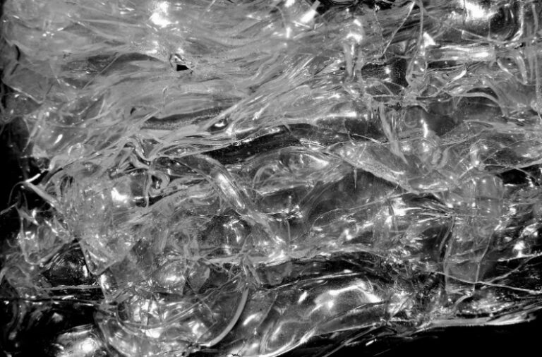 Organizaciones de la cadena alimentaria cuestionan algunas medidas del nuevo reglamento europeo de envases y residuos de envases