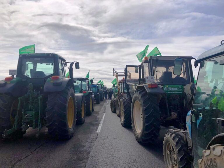 APAG Extremadura Asaja apoya la tractorada en defensa del sector tabaquero