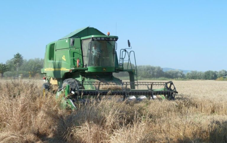 El FEGA Asigna 10,7 millones de euros de nuevos derechos de pago básico de la reserva nacional