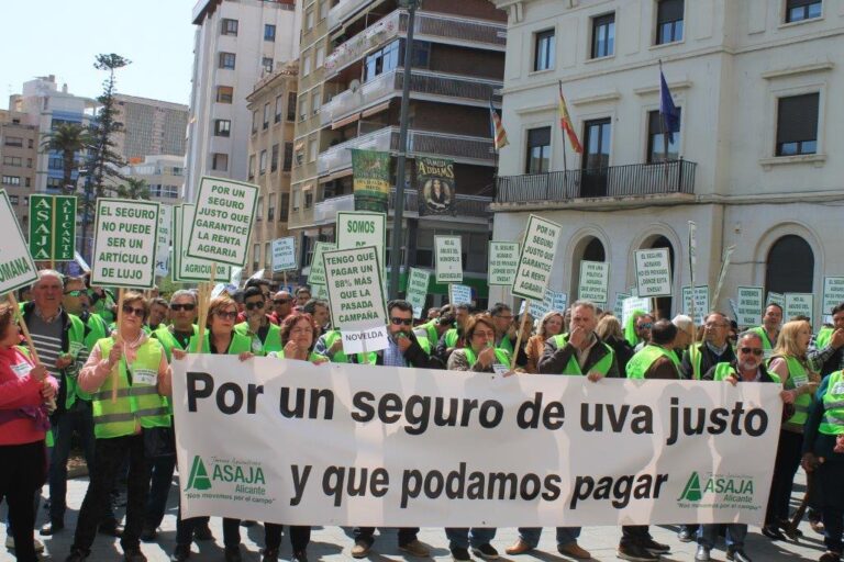 Más de 300 agricultores de uva de mesa colapsaron la Plaza de la Montañeta en una concentración para denunciar la subida inasumible del seguro