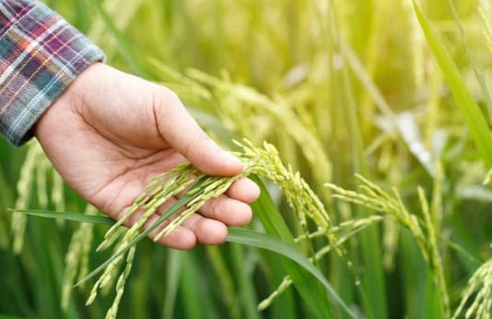 ARAG-ASAJA reclama una rebaja de módulo en el IRPF debido la subida de costes y caída de rendimientos de las explotaciones agrarias durante 2023