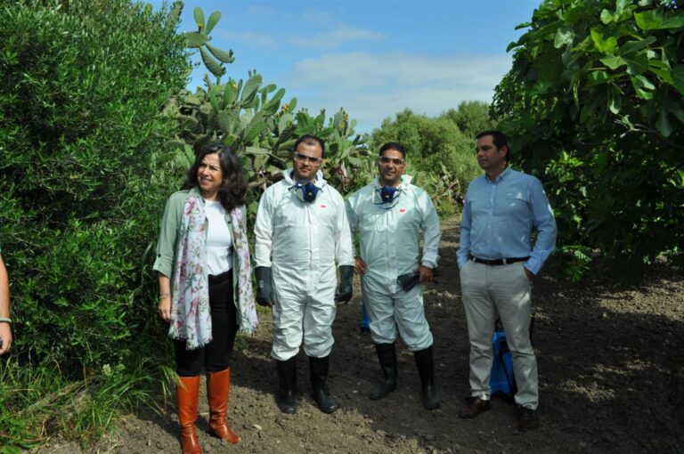Asaja-Cádiz combate la cochinilla del CARMIN que ataca a la chumbera