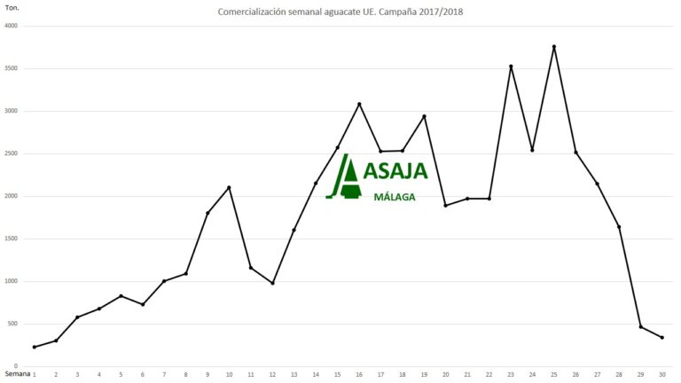 Asaja Malaga hace balance: Fin de la campaña de aguacate 2017/2018