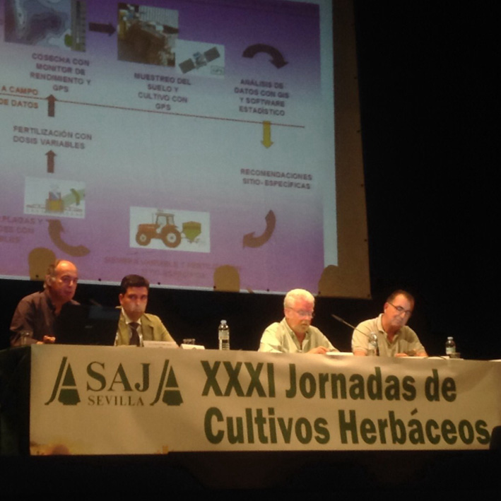 La cosecha de girasol se reduce en españa un 25% respecto a la pasada campaña