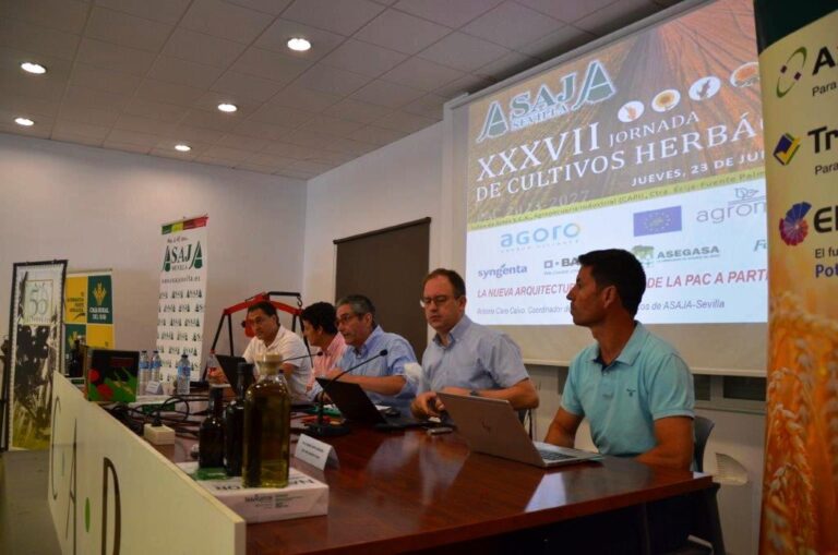 La sequía y la falta de fertilizantes, a consecuencia de la invasión de Ucrania, merman la producción andaluza de cereales en un 23 por ciento
