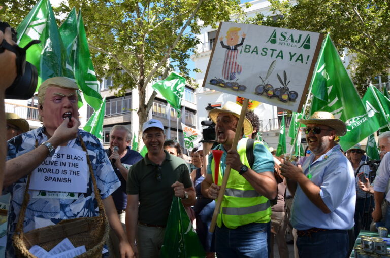 Asaja-Sevilla exige a la Comisión Europea que defienda también a la aceituna negra y le demanda ayudas para paliar las pérdidas