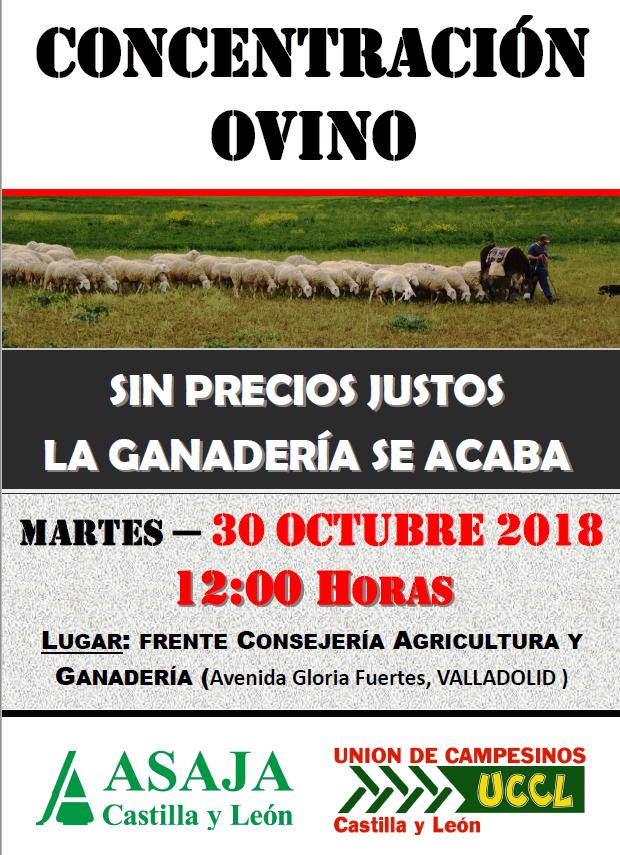 Los ganaderos de ovino de Castilla y León, de nuevo en la calle, el martes 30 de octubre