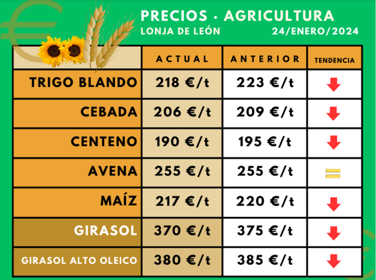 La cotización del girasol, tras varios meses estable, se une al descenso que viene padeciendo la del cereal