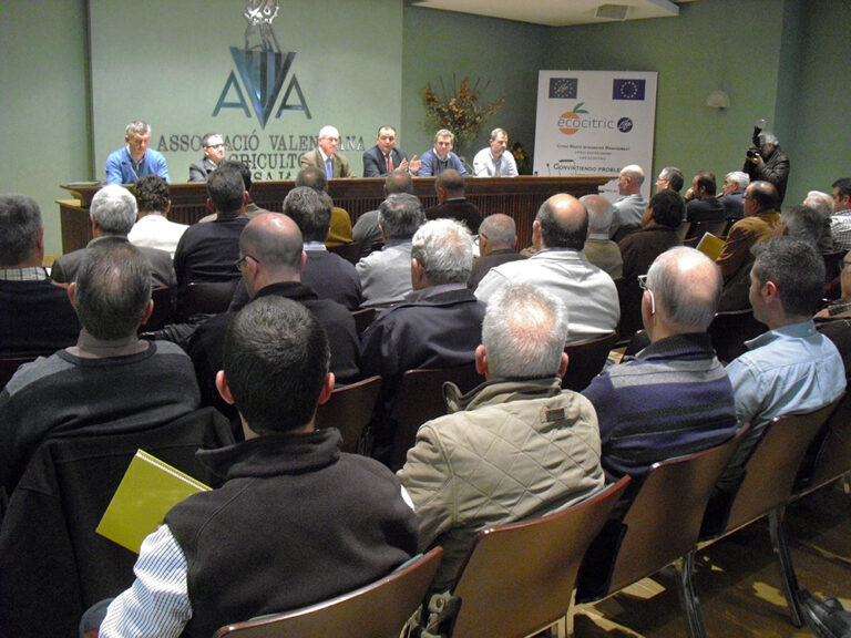 Aguado pide al Consell que abra una mesa de concertación para que los cítricos dejen de ser una fruta de saldo