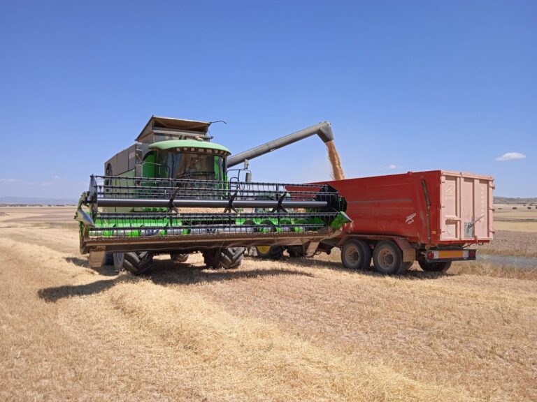 Desplome del 95% en la producción de cereales de Almería debido a la sequía extrema
