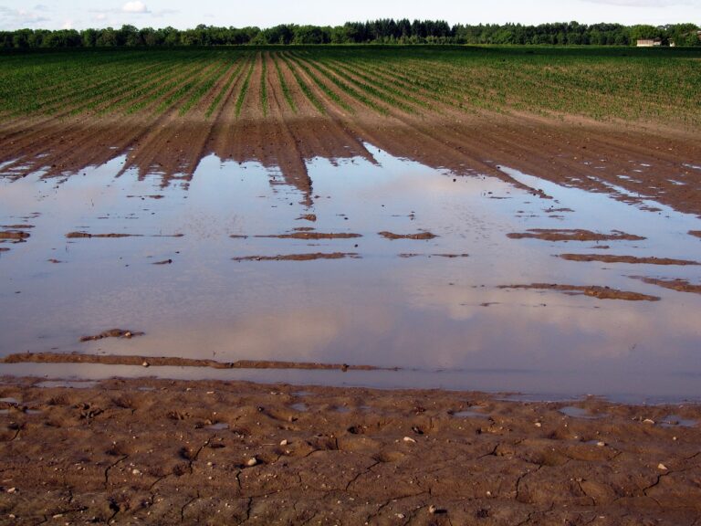 Las lluvias de más de 50 litros por metro cuadrado, en dos semanas, obligan a parar todas las labores agrícolas en la provincia de León