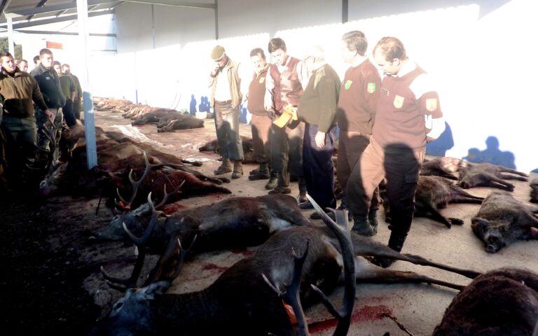 El IREC aboga por la caza en Cabañeros