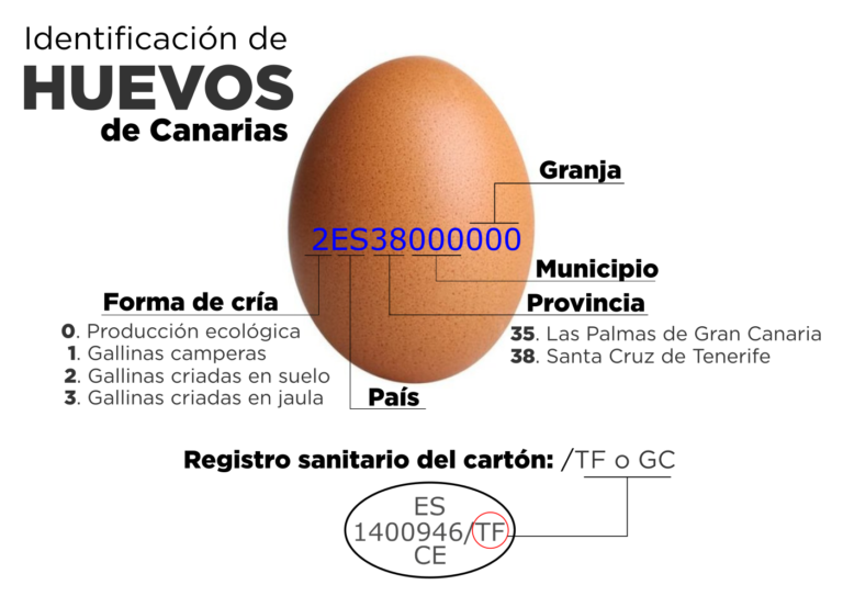 ASAGA alerta de huevos de origen foráneo  que se comercializan como si fueran canarios