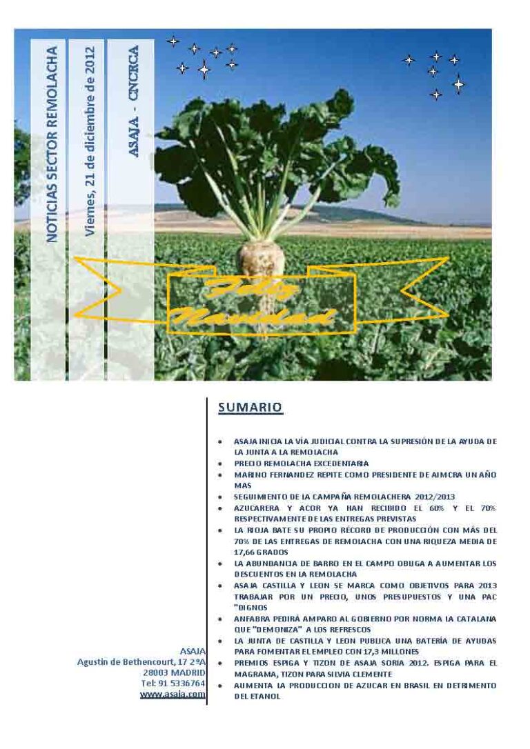 Noticias Sector Remolacha (Viernes, 21 de diciembre de 2012)