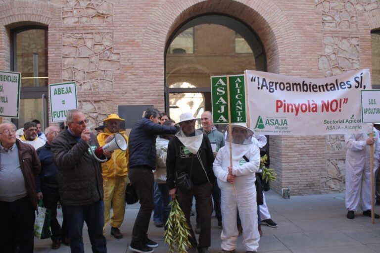 El número de colmenas se reduce drásticamente en la autonomía valenciana, mientras crece en el resto de España