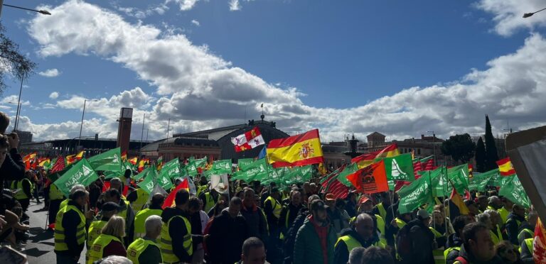 Los agricultores y ganaderos de Castilla y León defendieron en Madrid el futuro del campo y de la alimentación europea