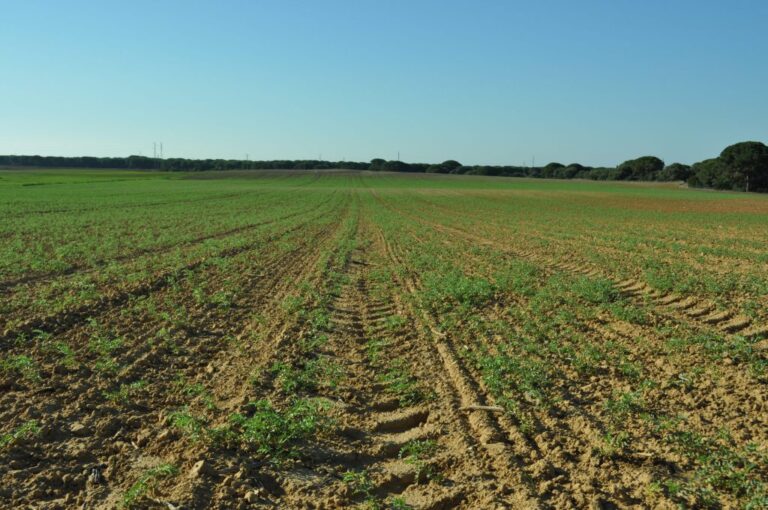 ASAJA-CÁDIZ traslada a Madrid la situación de sequía de la provincia