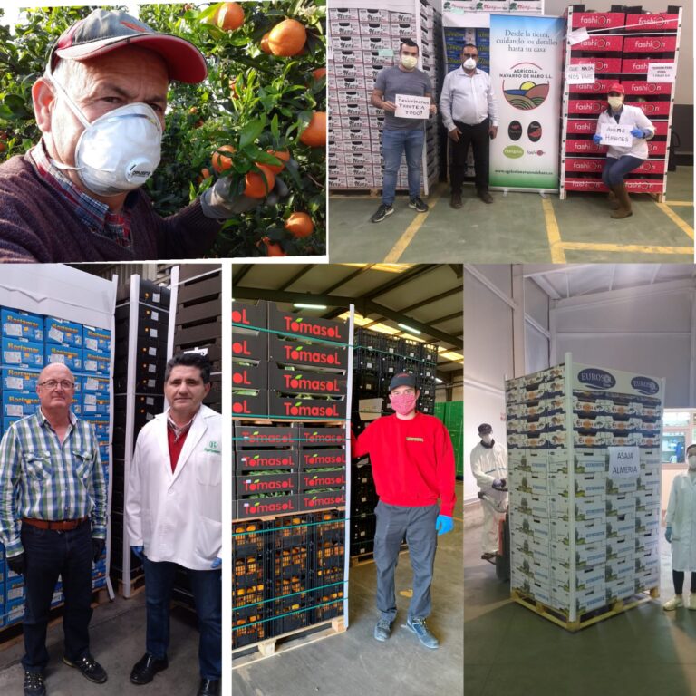 Agricultores de Almería donan  frutas y hortalizas al personal sanitario que está en el IFEMA