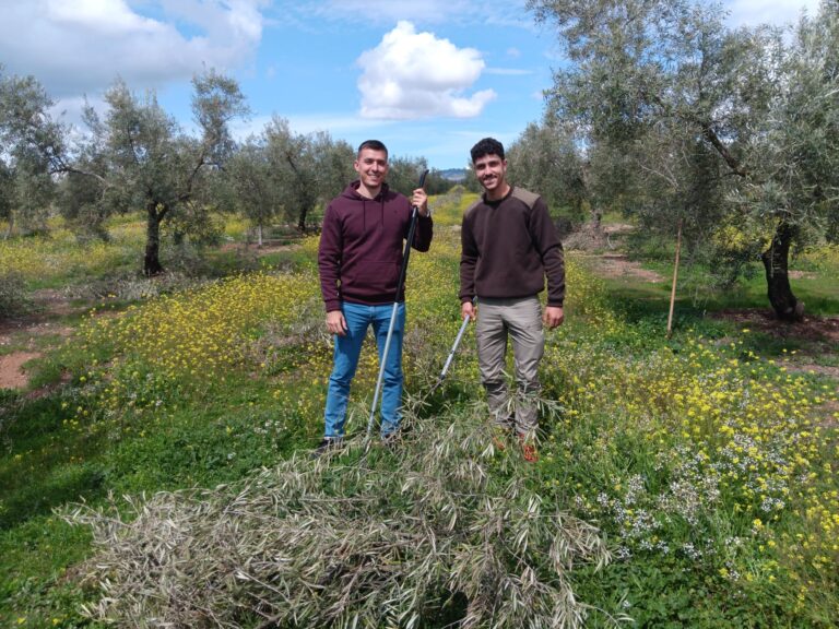 Innovación y Sostenibilidad en la Explotación Olivarera de Padul, Granada