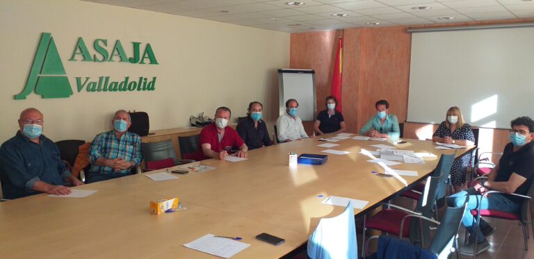 Asaja reclama urgencia y concreción en las medidas ante la inminente vendimia en la DO Rueda