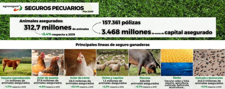 Agroseguro presenta el Plan 2021 de seguros pecuarios