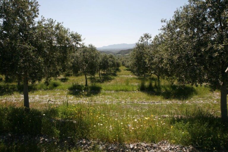 Asaja Córdoba valora que la Junta amplíe las ayudas a la producción ecológica