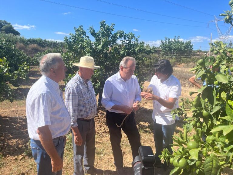 AVA-ASAJA presentará alegaciones para que la Conselleria compense los daños de la fauna