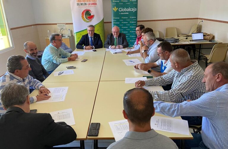 El melón y la sandía de Castilla-La Mancha terminan la campaña con precios rentables