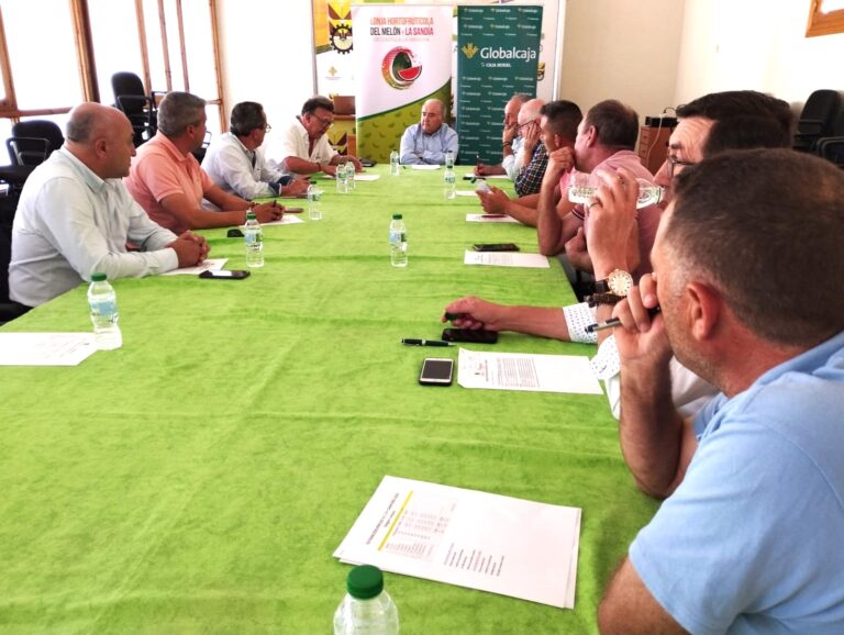 Termina la campaña con precios ajustados para el melón y negativos para la sandía