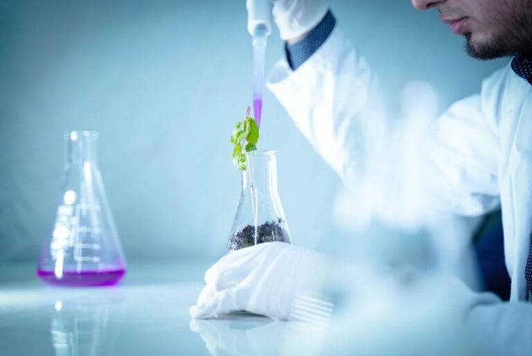 Iniciativa contra los alimentos sintéticos