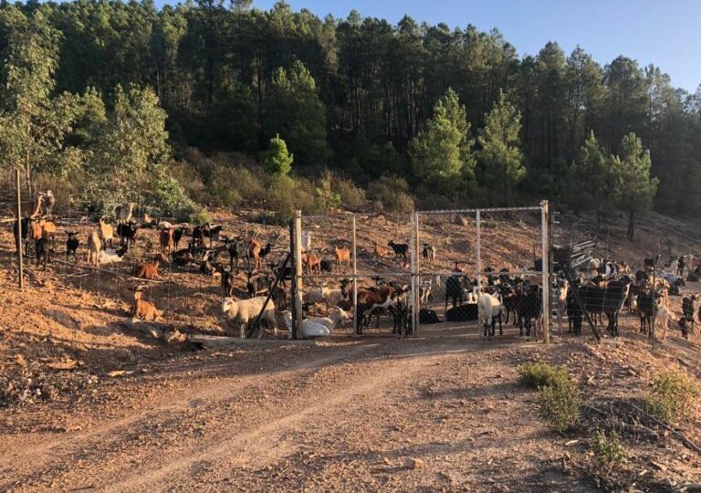 Apag Extremadura Asaja rechaza los cambios horarios que son perjudiciales para el campo