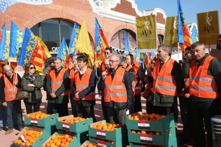 ASAJA Valencia y Asaja Castellón advierten que darán a conocer los nombres de los comercios que importan y venden naranjas foráneas en plena crisis citrícola
