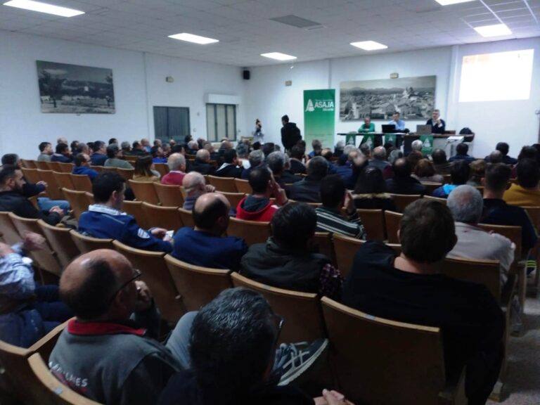 Los agricultores protestarán ante la Subdelegación del Gobierno en Alicante para denunciar el “excesivo ánimo de lucro” de Agroseguro, que ha aplicado subidas “unilaterales e inasumibles” en el seguro de uva de mesa